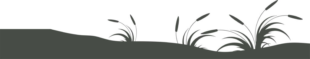 Pļavas dizains Kalmju Pirts